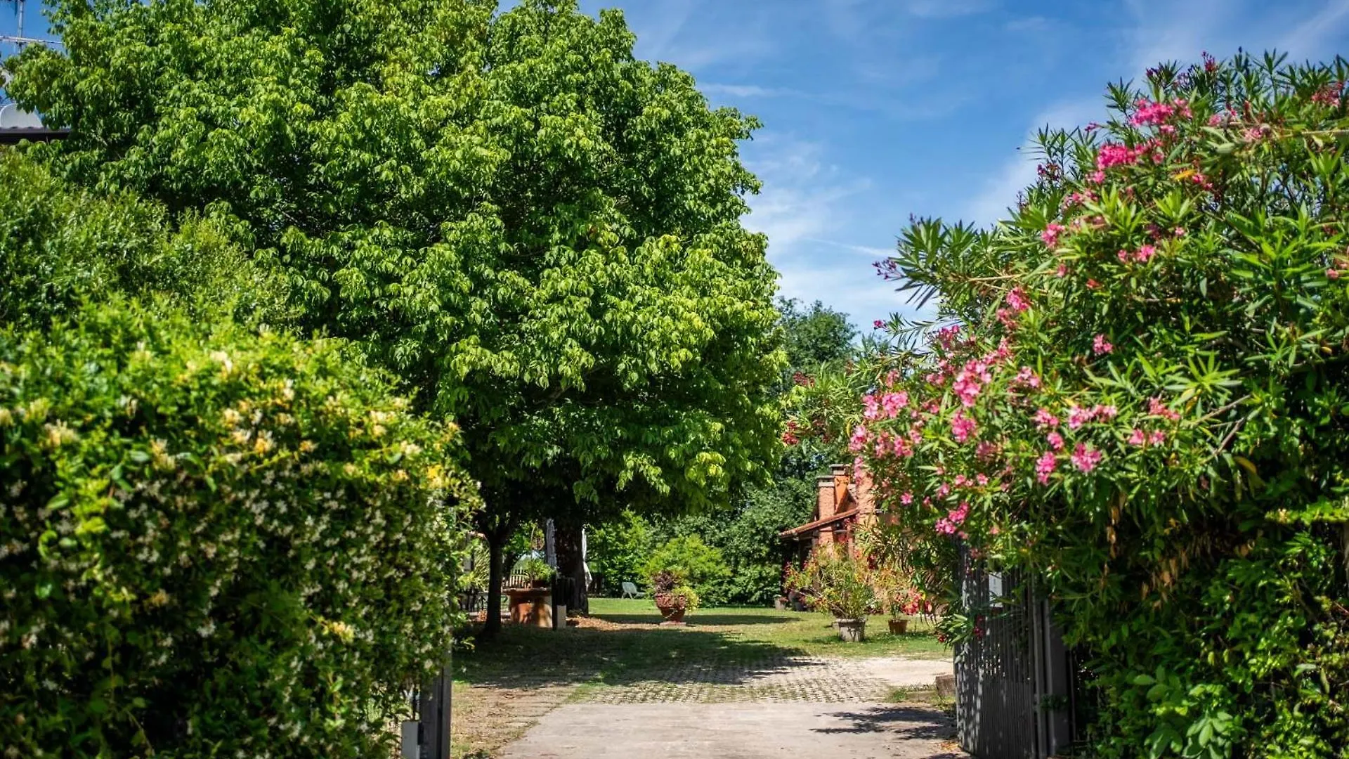 Фермерский дом Agriturismo San Bartolomeo Монселиче